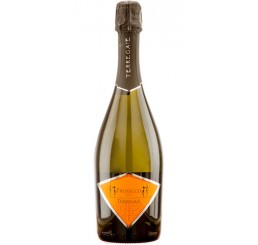 Prosecco Brut NV Terre Gaie - Italy